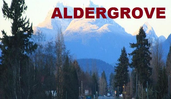 Aldergrove Auto Title Loans